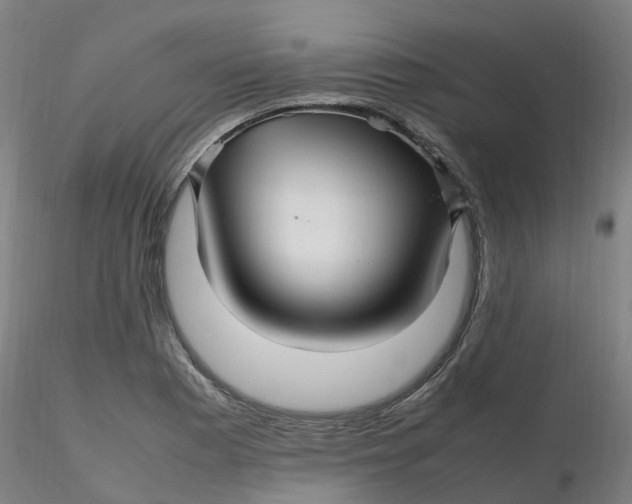 X0000116351177200912221455