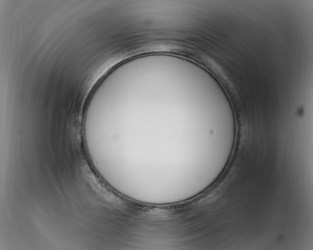 X0000116351178200912221455