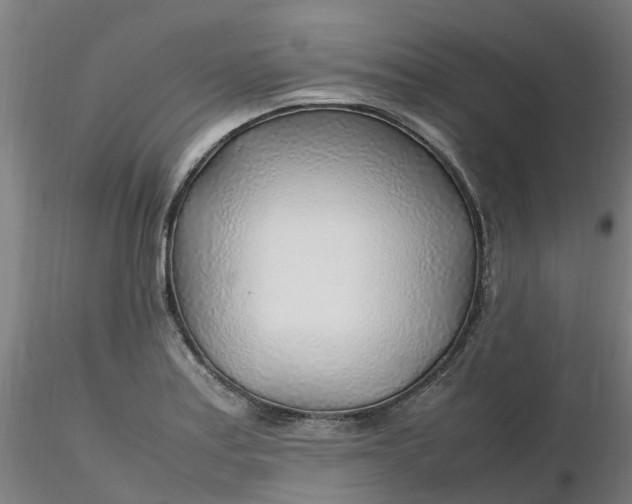 X0000116351179200912221455