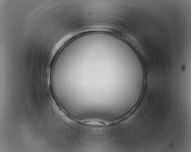 X0000116351180200912221455