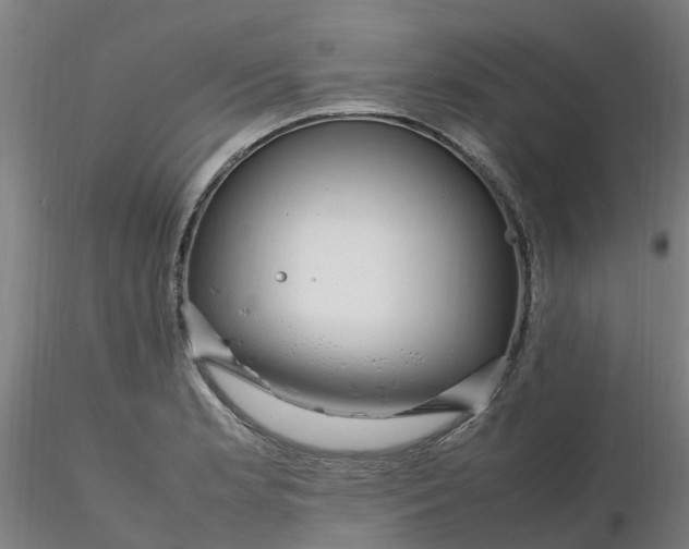 X0000116351181200912221455