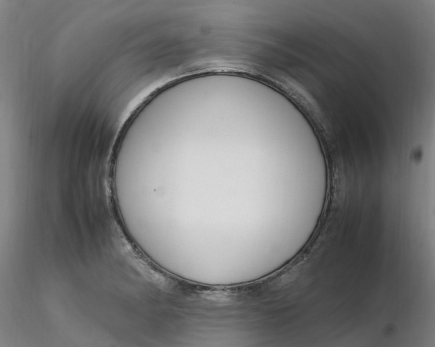 X0000116351182200912221455