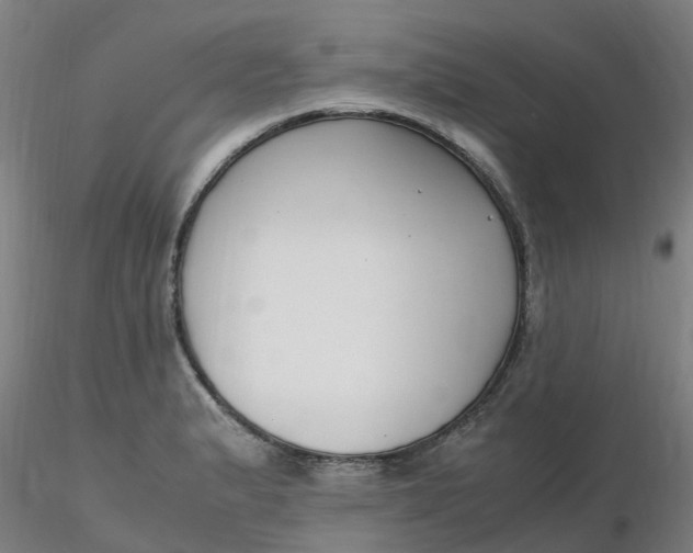 X0000116351183200912221455