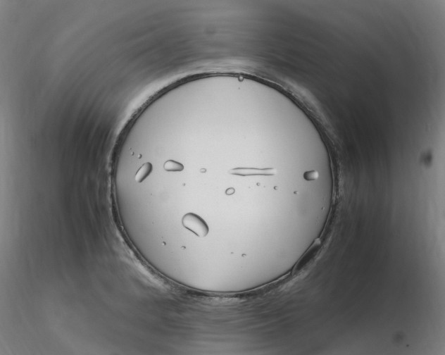 X0000116351184200912221455