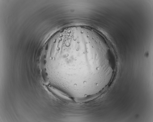 X0000116351185200912221455