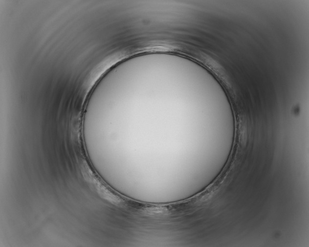 X0000116351186200912221455