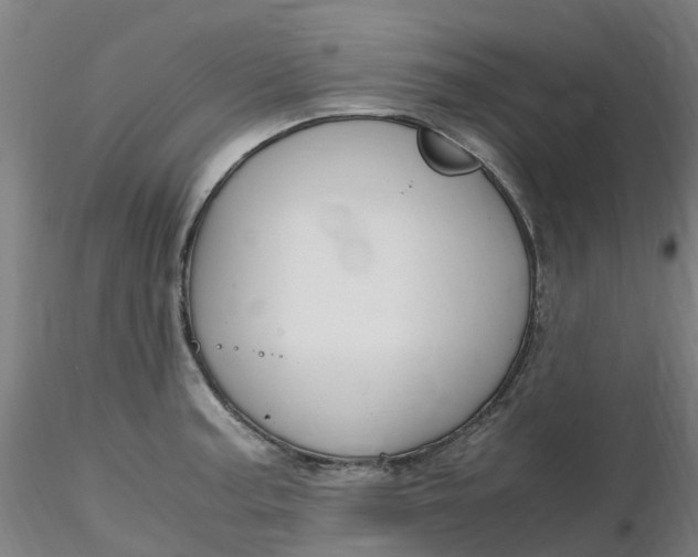 X0000116351187200912221455