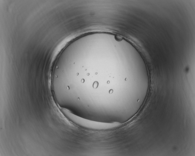 X0000116351188200912221455