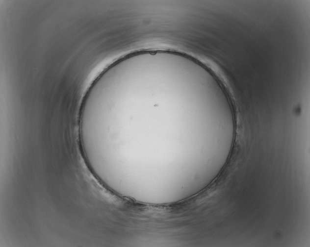 X0000116351191200912221455