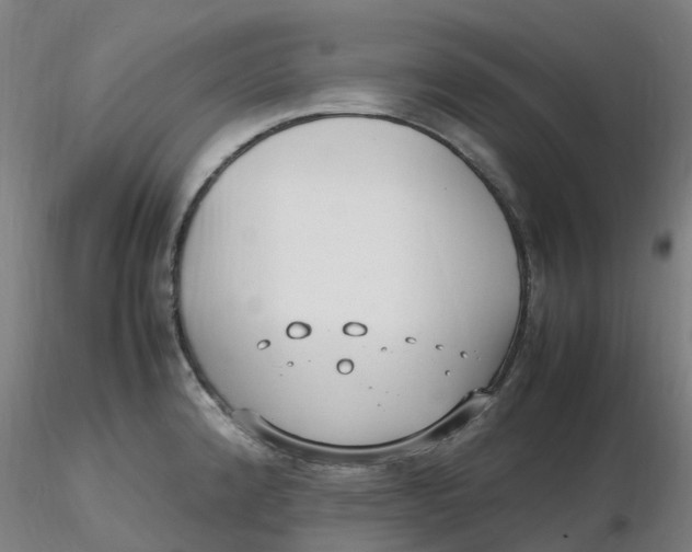 X0000116351192200912221455