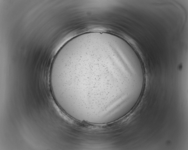 X0000116351194200912221455