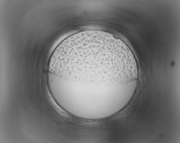 X0000116351195200912221455