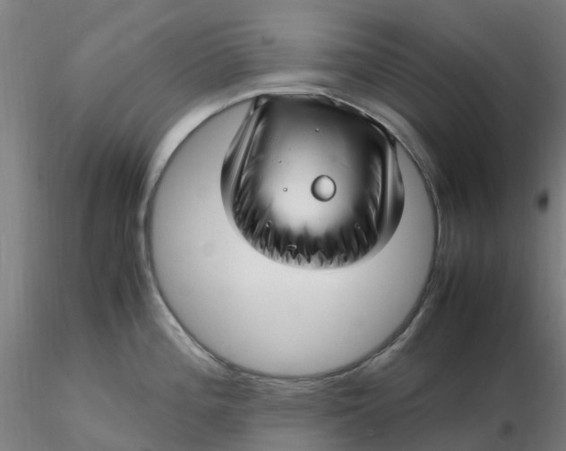 X0000116351196200912221455