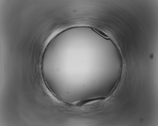 X0000116351197200912221455