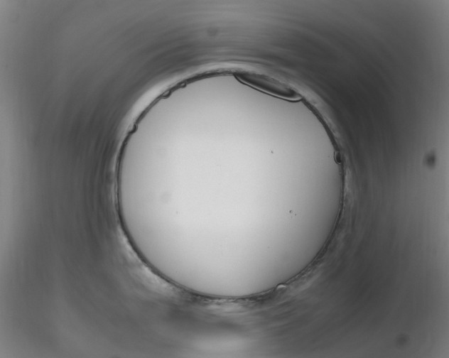 X0000116351199200912221455