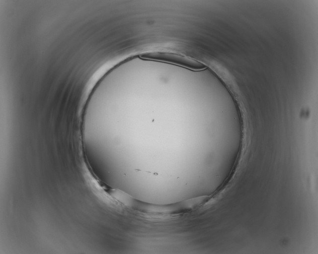 X0000116351200200912221455