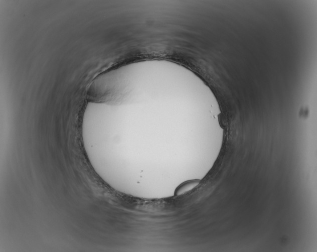 X0000116351201200912221455