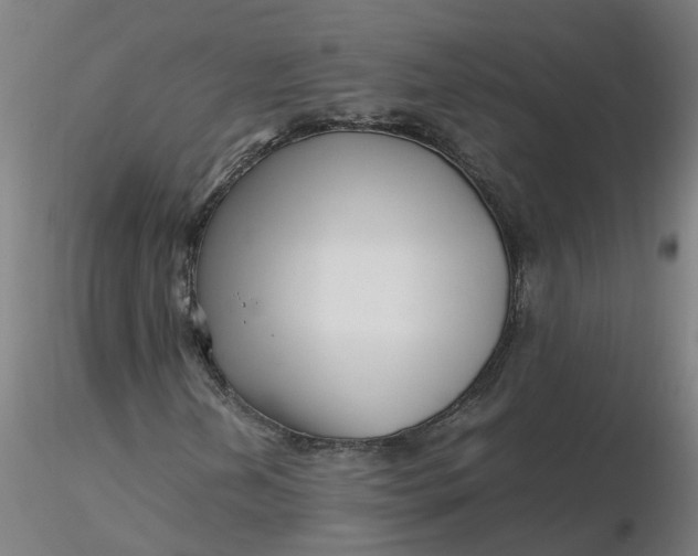 X0000116351202200912221455