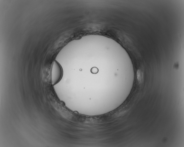 X0000116351203200912221455