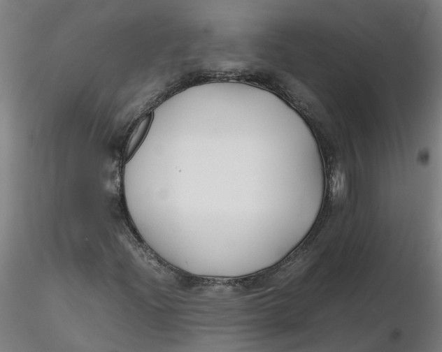 X0000116351204200912221455