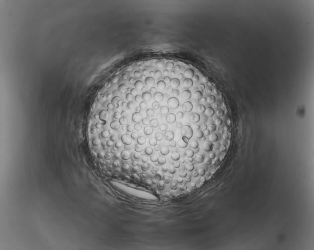 X0000116351205200912221455