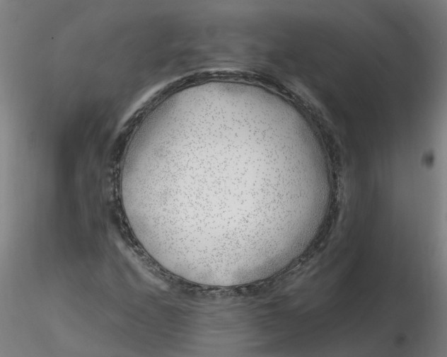 X0000116351208200912221455