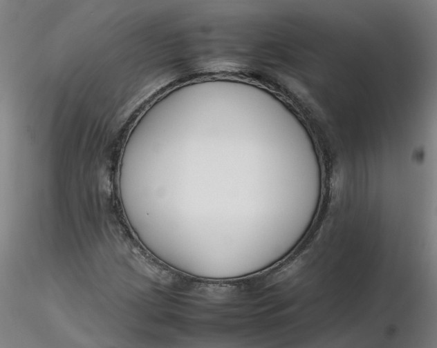 X0000116351209200912221455