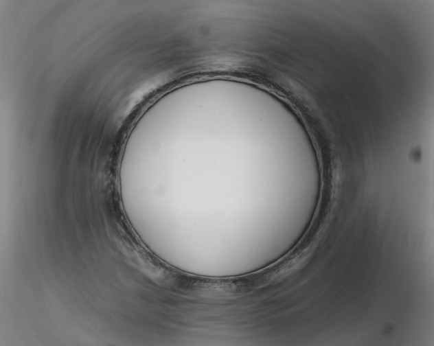 X0000116351210200912221455