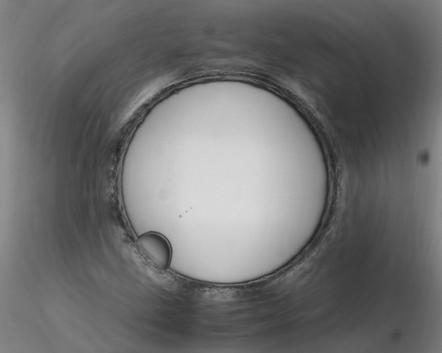 X0000116351211200912221455