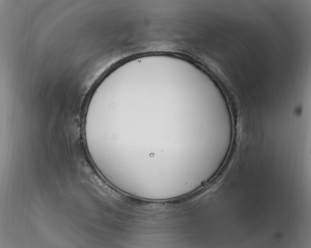 X0000116351212200912221455