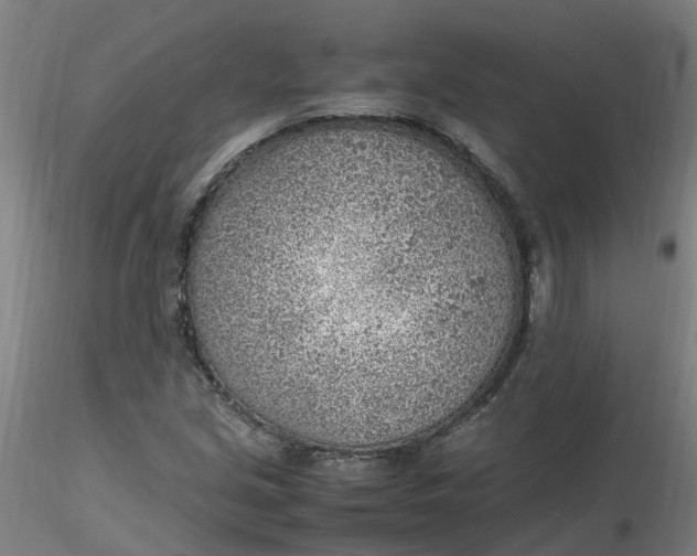 X0000116351213200912221455