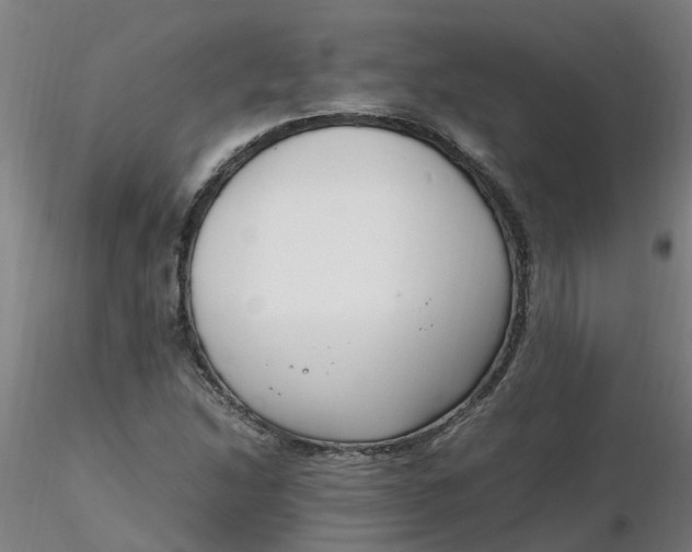 X0000116351214200912221455