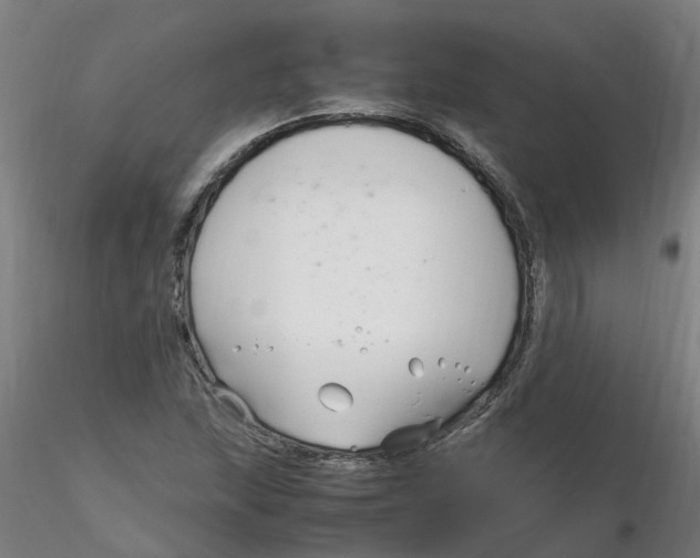 X0000116351215200912221455