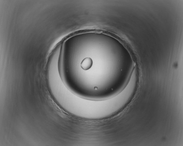 X0000116351216200912221455