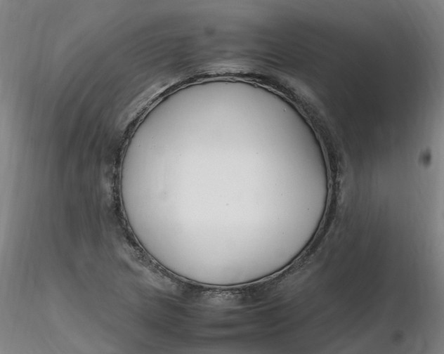 X0000116351217200912221455