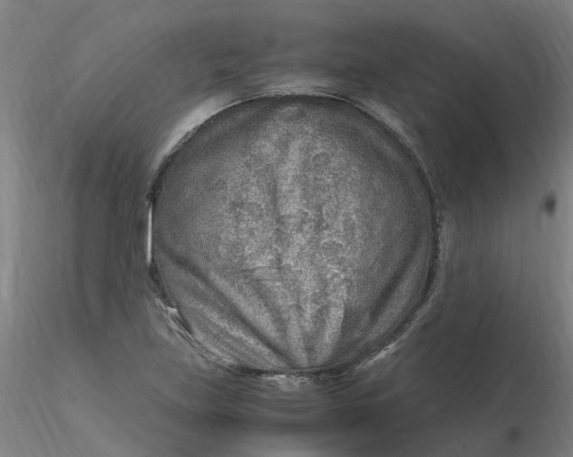 X0000116351219200912221455