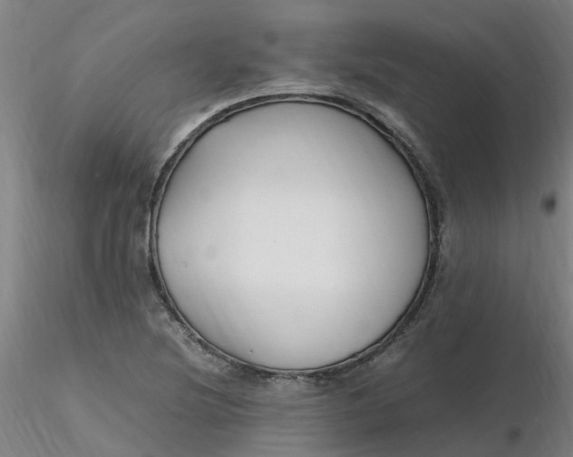 X0000116351220200912221455