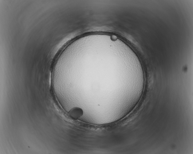 X0000116351221200912221455