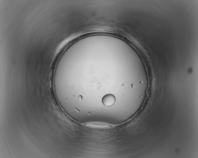 X0000116351222200912221455