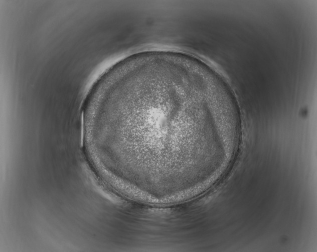 X0000116351223200912221455