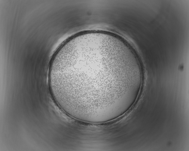 X0000116351224200912221455