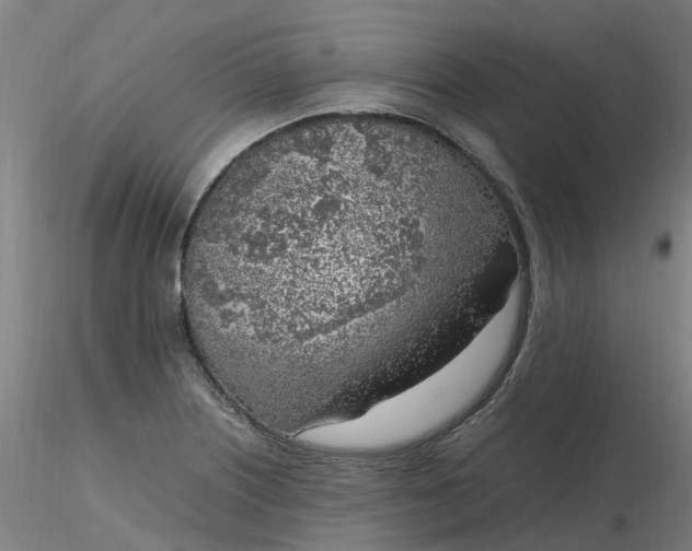 X0000116351226200912221455