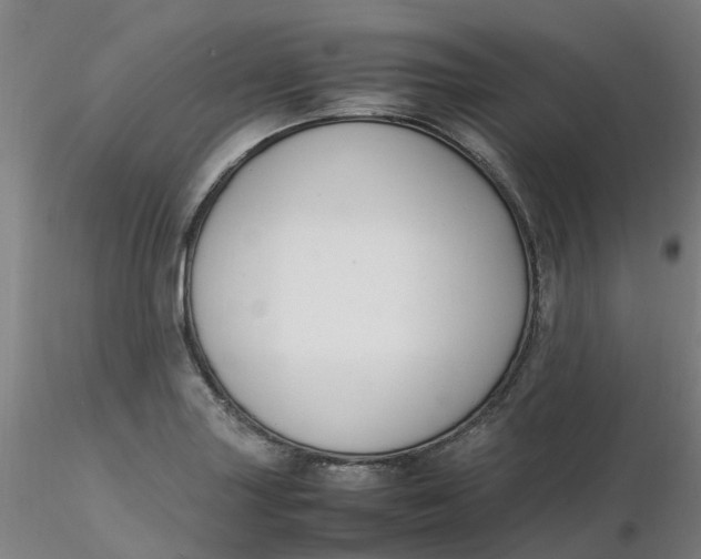 X0000116351227200912221455