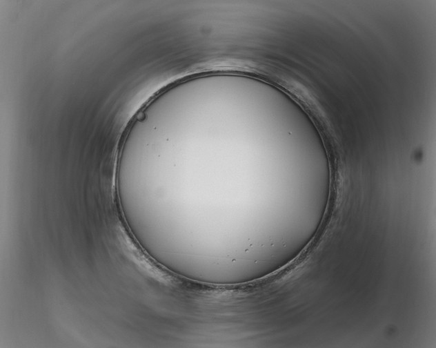 X0000116351228200912221455