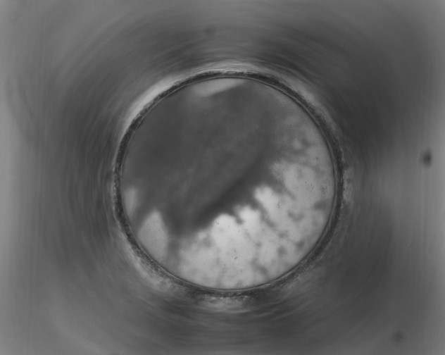 X0000116351229200912221455