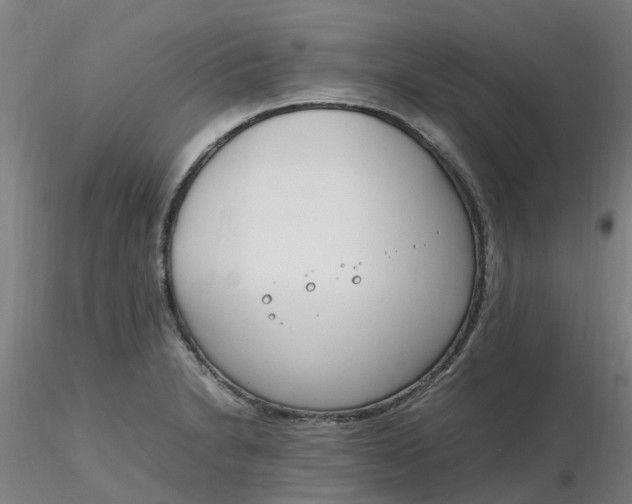 X0000116351230200912221455