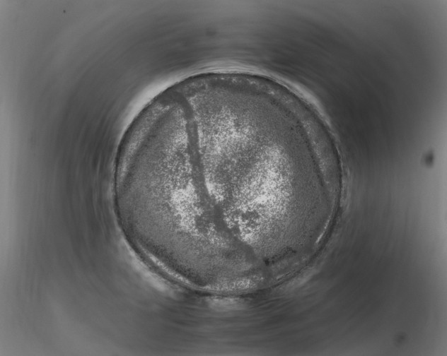 X0000116351231200912221455