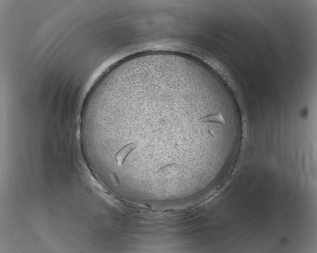 X0000116351232200912221455