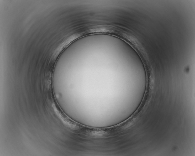 X0000116351233200912221455