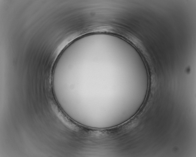 X0000116351234200912221455